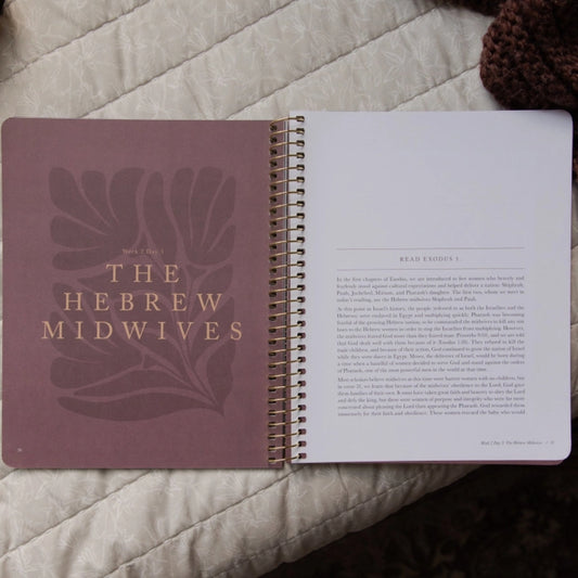 Daughters of Grace: Women of the Bible Study