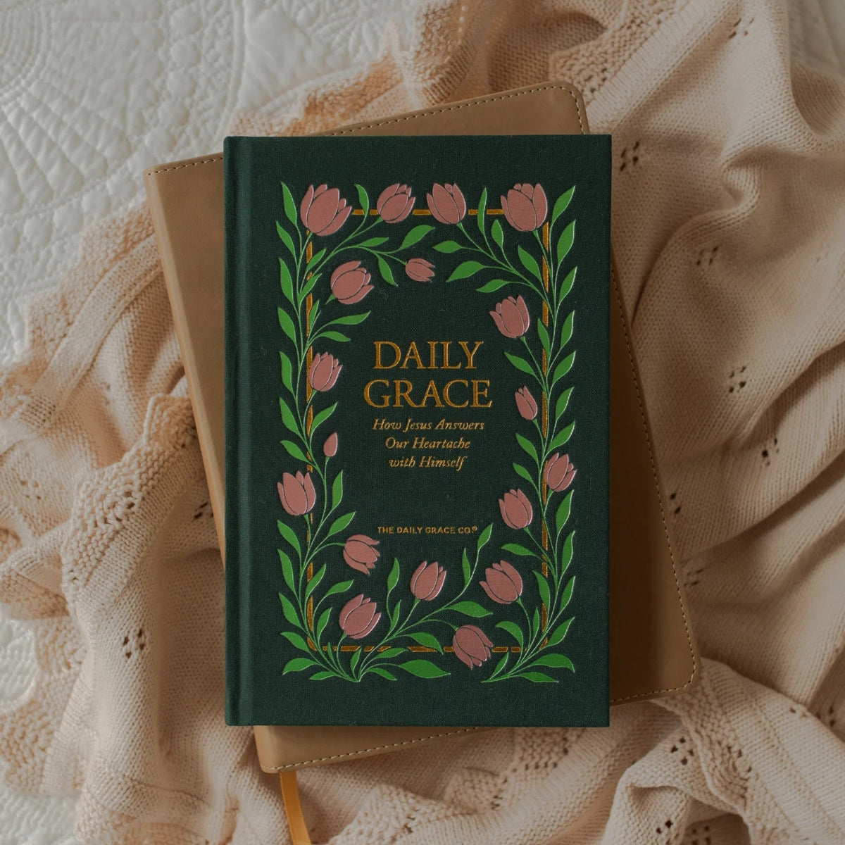 Daily Grace: How Jesus Answers Our Heartache with Himself