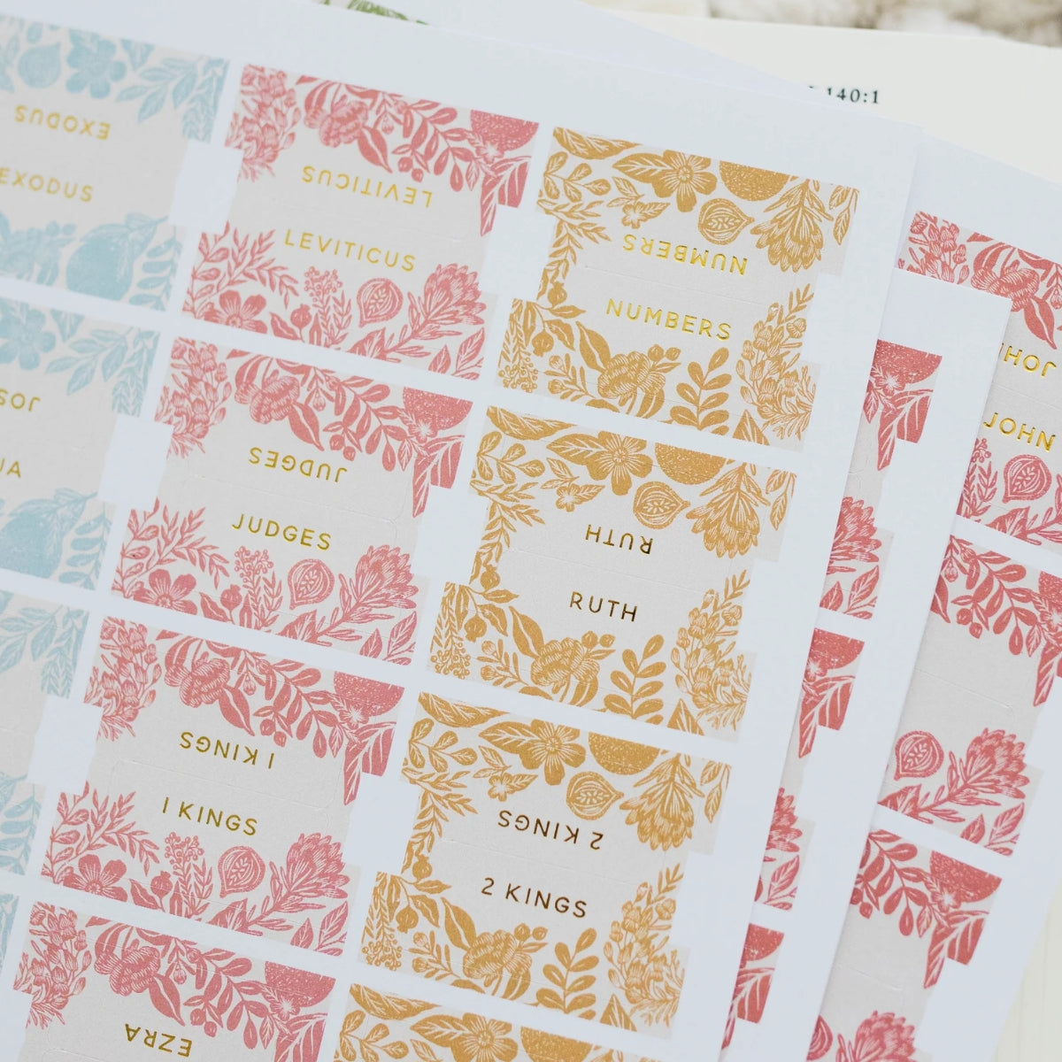 Citrus Bible Tabs