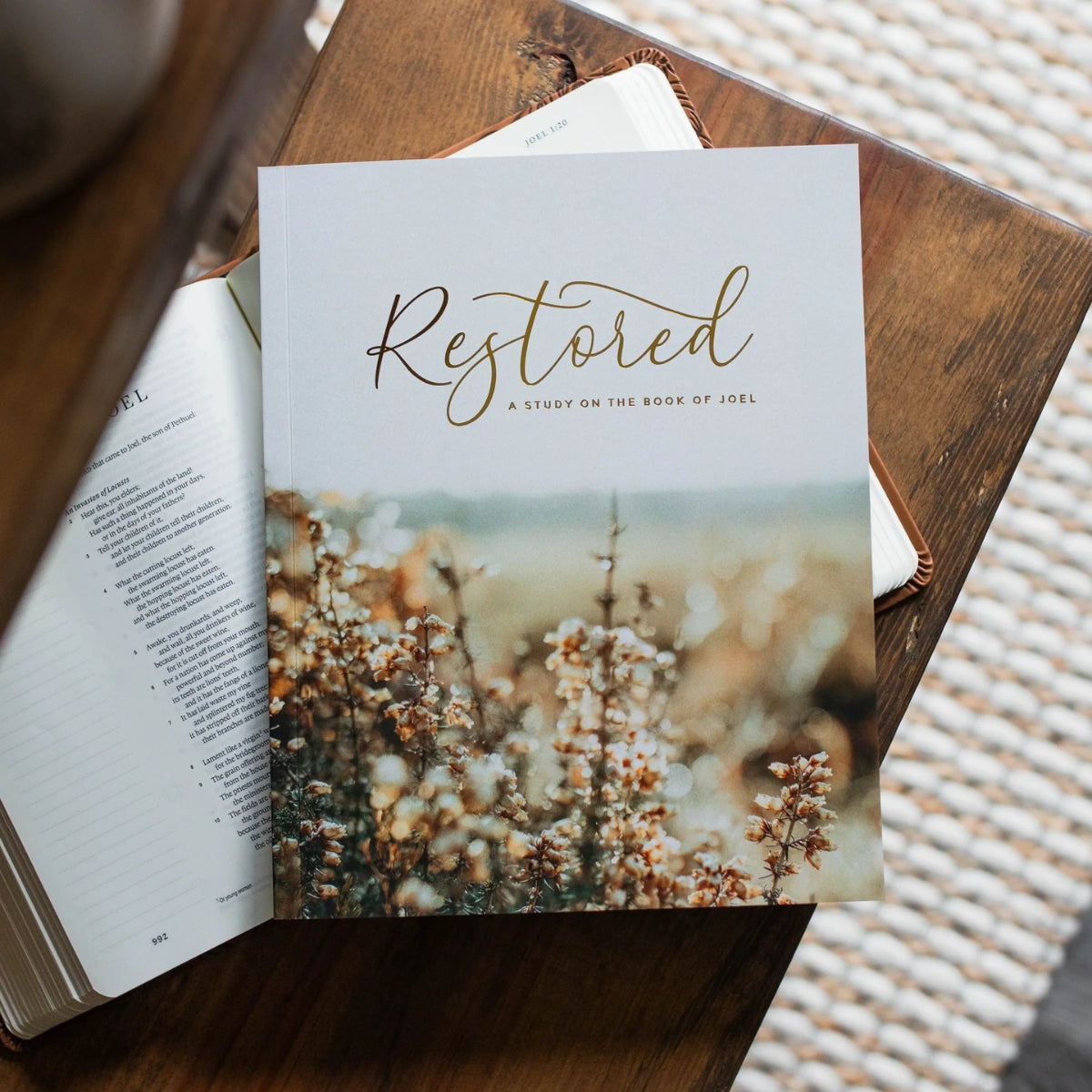 Restored: Joel Bible Study