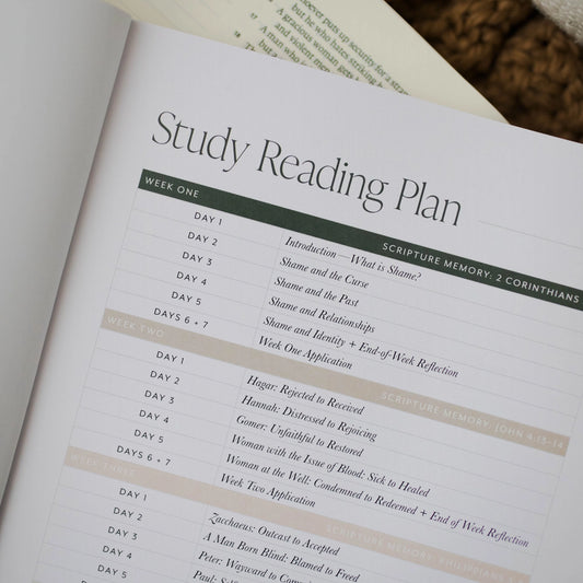 Free from Shame: How the Gospel Redeems Our Past and Pain