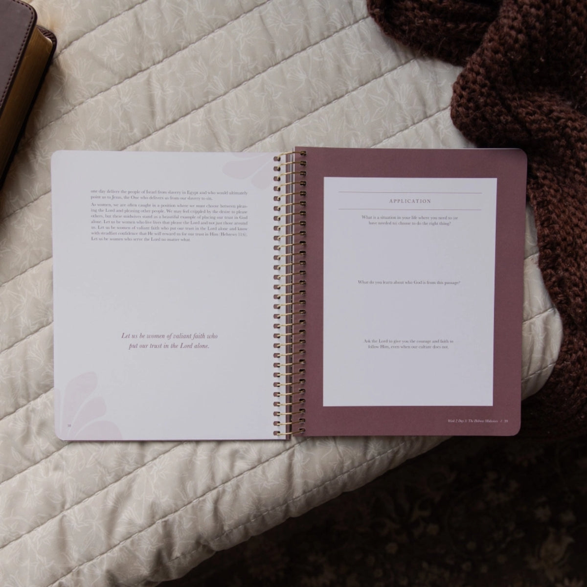 Daughters of Grace: Women of the Bible Study