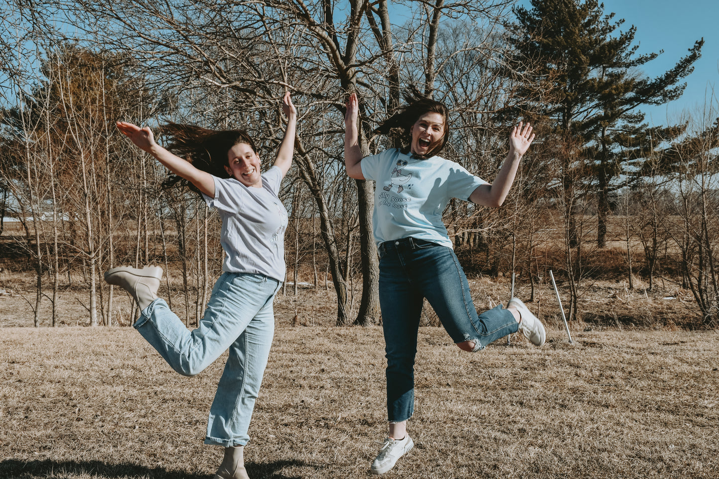 Silly Goose On The Loose T-Shirt