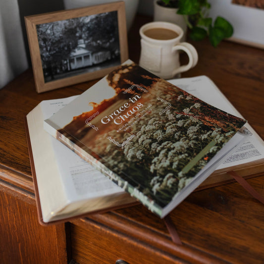 Grace in Chaos: Biblical Hope For the Hard Days of Motherhood